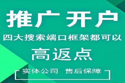 某企业通过百度推广服务费实现品牌飞跃